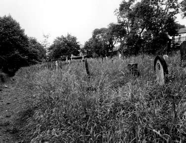 Searching Picture Sheffield