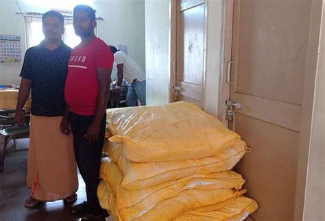 Seizure of 16 bags of tobacco products stored in a banana plantation ...