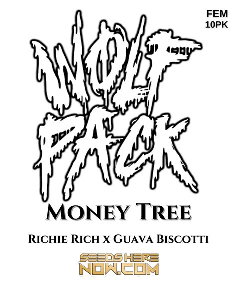 Grab Money Tree Feminized Cannabis Seeds -Exceptional Flavor