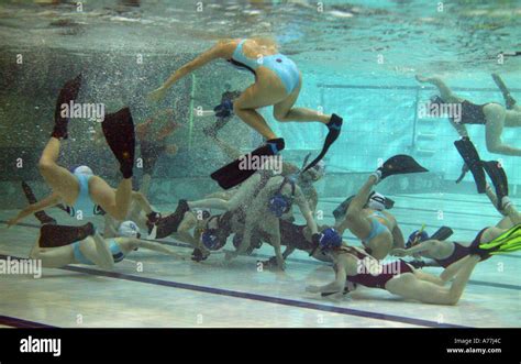 Underwater Hockey 的图像结果