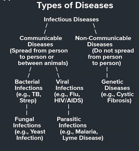 5. Make a flow chart to explain the different type of diseases. - Brainly.in