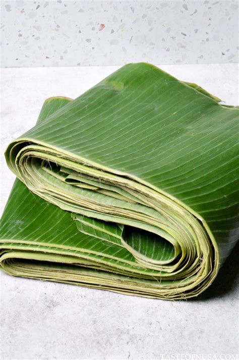 What Is Morning Glory / Water Spinach / Kangkung? - Taste of Nusa