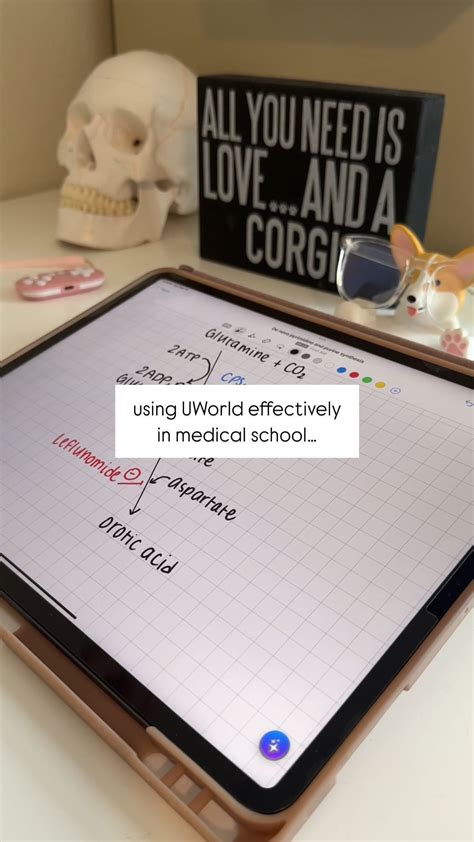 Medical Student (MS3) PreMed Mentor | Here’s how I’ve been using UWorld ...