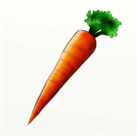 Carrot Images - Cliparts.co