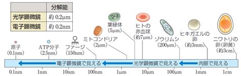 Image result for Relay Module Panel