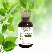 Image result for lanolin