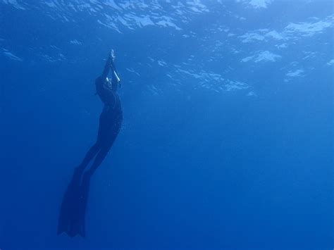 ZEN FREEDIVING (2025) All You Need to Know BEFORE You Go (with Photos ...