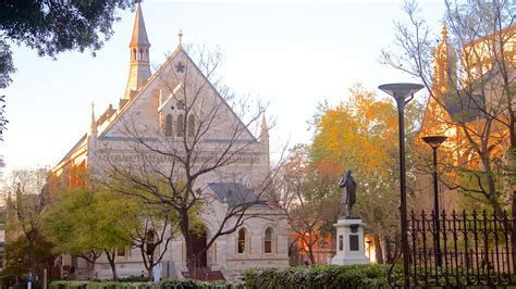 Pet Friendly Hotel Adelaide Cbd at Anthony Bohnsack blog