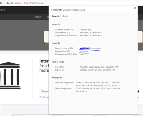 SSL Decryption 的图像结果