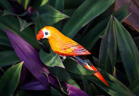 Buy Wooden Parrot | Wooden Parrot with Clip 2pk | Macaw Hand Painted ...