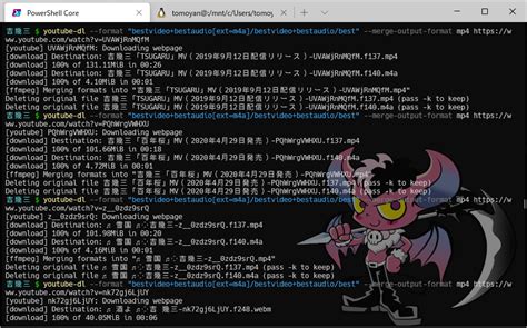 Image result for Python Youtube-Dl