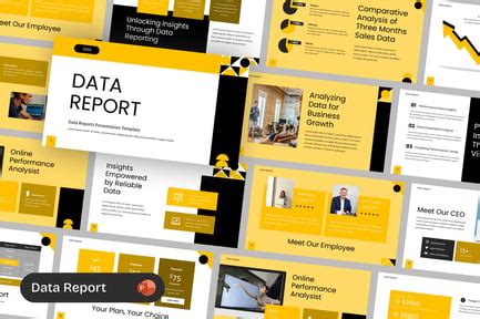 Data Report Visuals 的图像结果