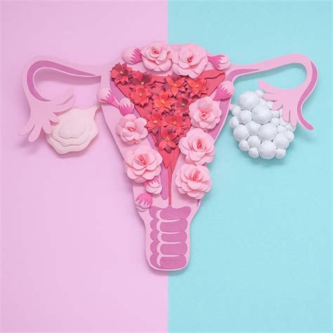 5 Myths about PCOS