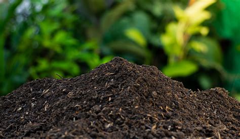 Composting 101: What, Why How To Compost At Home Homestead, 40% OFF