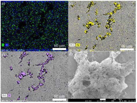 Effect of Magnesium on the Hydrophobicity of Sphalerite