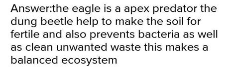 1 Why do you think the eagle could be describedas both a scavenger and ...