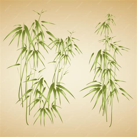 Premium Vector | Abstract background with bamboo