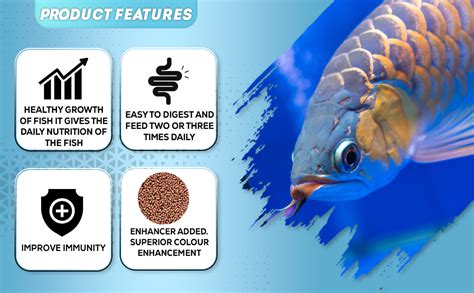 VAYINATO Ocean Free Ar-G2 Pro Arowana Intense Colour Fish Food ...