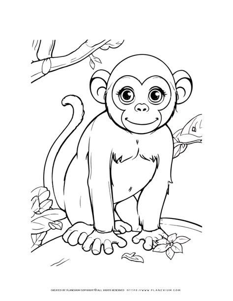 Jungle Animal Printable Coloring Pages