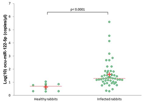 Changes in MicroRNA Expression during Rabbit Hemorrhagic Disease Virus ...