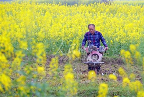 广西融水：春暖花开耕种忙-人民图片网