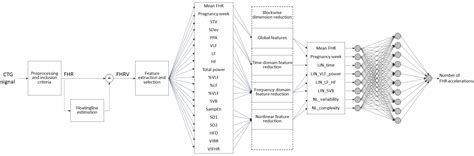 Multiparametric Investigation of Dynamics in Fetal Heart Rate Signals