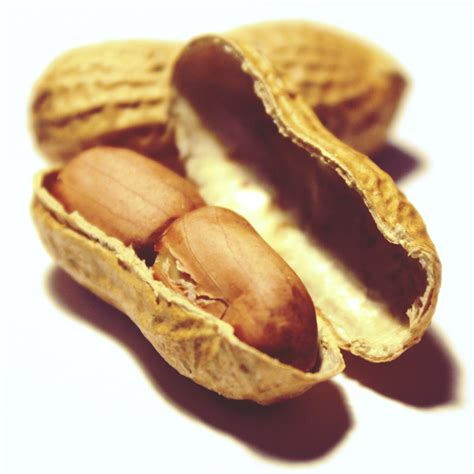 Peanuts Eating With Shell at Skye Clarey blog