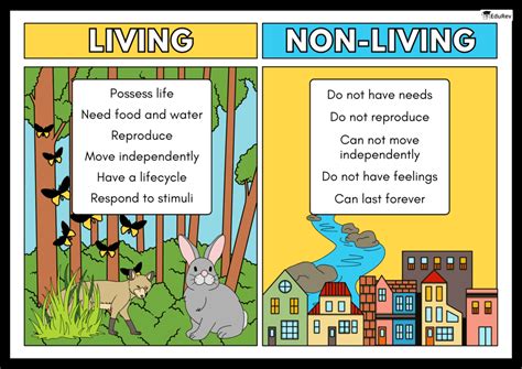 Diversity In The Living World Learning Poster - Class 6 Science - NCERT ...