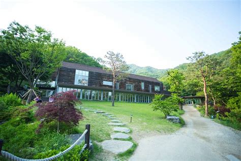 HEALIENCE SEONMAEUL (Hongcheon-gun) - Specialty Inn Reviews, Photos ...