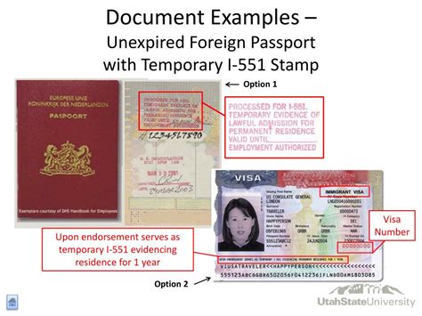 PPT - Form I-9 Training PowerPoint Presentation, free download - ID:5300202