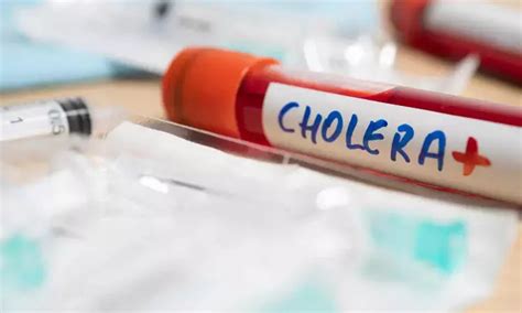 A high-protein diet can defeat cholera infection, claims research