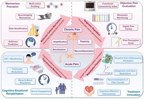Frontiers | Decoding pain chronification: mechanisms of the acute-to-chronic transition