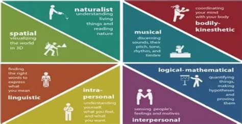 Multiple Intelligences 的图像结果