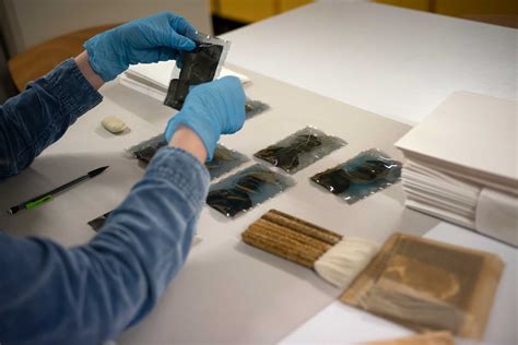 Audit, Organization & Conservation of Heritage Collections