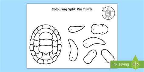 Colouring Turtle Split Pin Activity (teacher made) - Twinkl