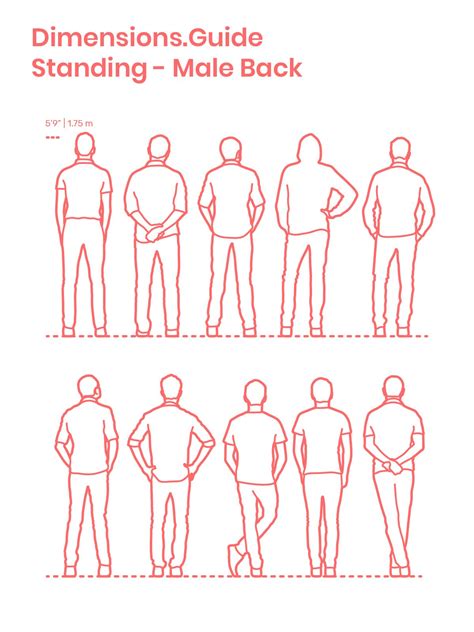 How To Draw A Man Back View - Drawing Tips Guide
