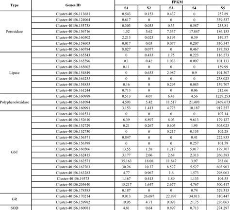 Transcriptome Analysis Example 的图像结果