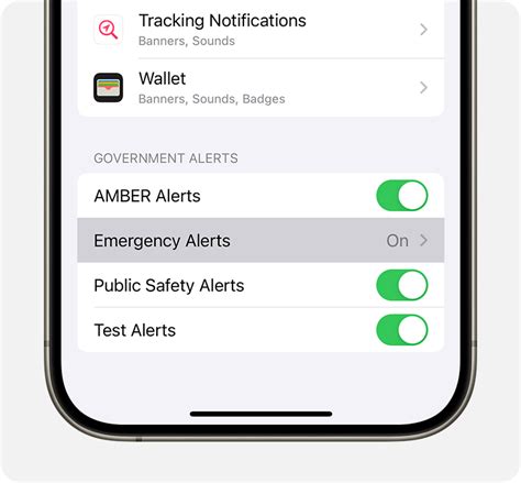 https://cdsassets.apple.com/live/7WUAS350/images/ios/ios-17-iphone-15-pro-settings-notifications-emergency-alerts-on-tap.png?utm_source=chatgpt.com