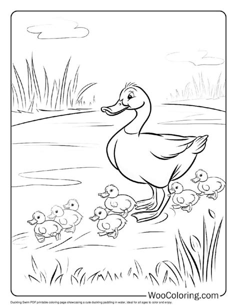 Swim Coloring 的图像结果