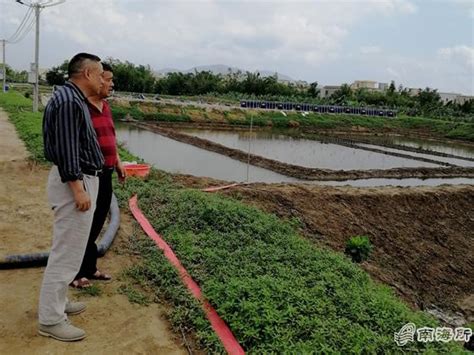 WSZ/ZQ-广东珠海自来水厂过滤设备出水效果-潍坊中侨环境工程有限公司