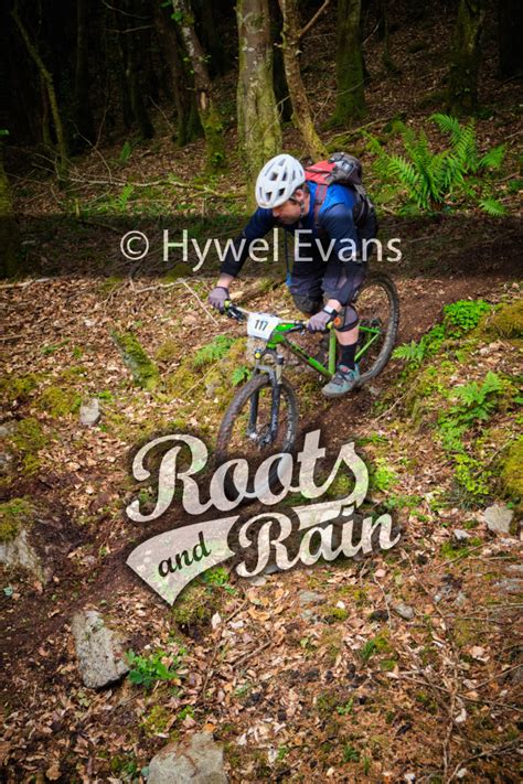 Darragh MALONEY 117 - Roots & Rain