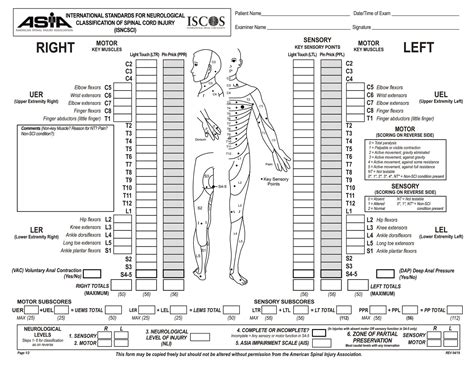 Nerve Function Chart