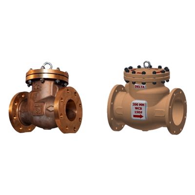 Non Return Valve