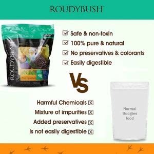 Buy Roudybush Daily Maintenance Bird Food For Dwarf Macaw, Eclectus ...