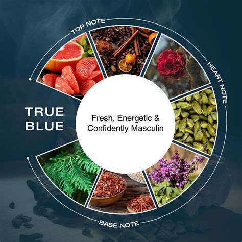True Blue & Naughty Black | 100ml each – NEXT CARE INC