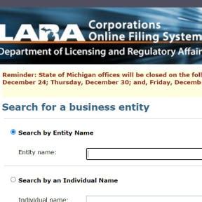 Michigan Business Entity Search