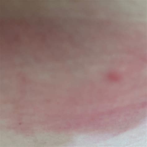 BEST WESTERN STATESVILLE INN - Updated 2026 Prices & Hotel Reviews (NC)