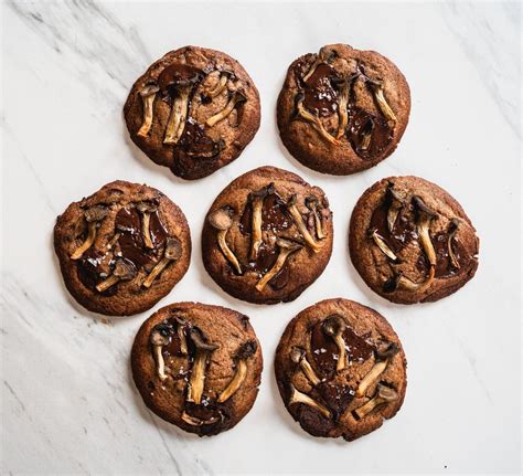 Navigating Safety: Evaluating the Risks and Benefits of Mushroom ...