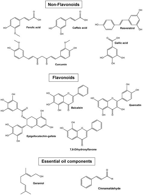 Conjugation, Prodrug, and Co-Administration Strategies in Support of ...