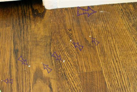 How To Safely Remove Paint From Hardwood Floors | Floor Roma